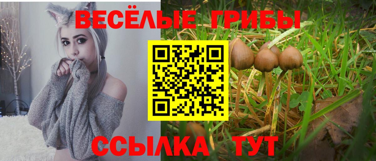 Галлюциногенные грибы прущие грибы  хочу   Вход с VPN  Приморско-Ахтарск  Галлюциногенные грибы мухоморы 